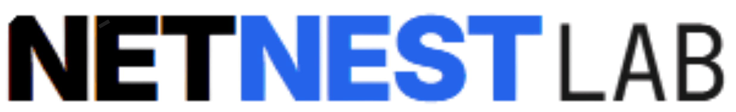 شعار netnest lab